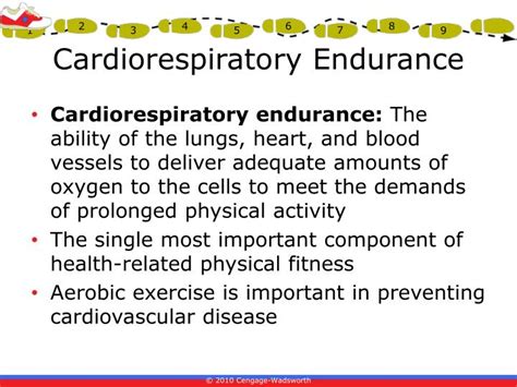 Ppt Chapter 6 Cardiorespiratory Endurance Powerpoint Presentation