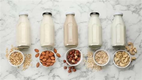 5 Best Plant Based Milk Options For Those Whove Just Turned Vegan