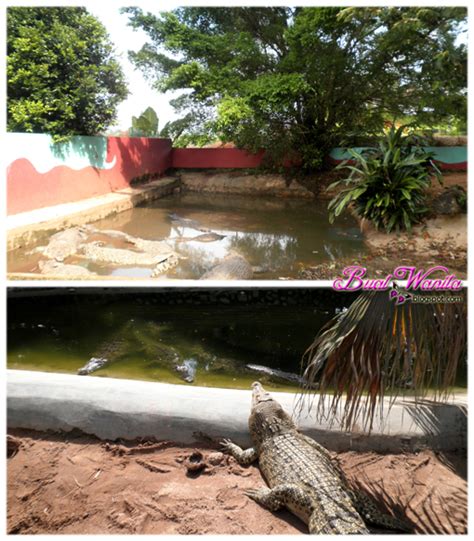 Tetapi dengan perancangan yang rapi dengan menempah tempat penginapan lebih awal. Tempat Menarik Di Melaka: Taman Buaya Ayer Keroh - Buat Wanita