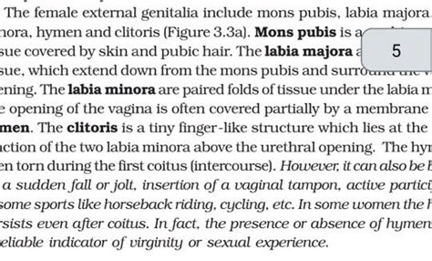 The Female External Genitalia Include Mons Pubis Labia Majora Nora Hym