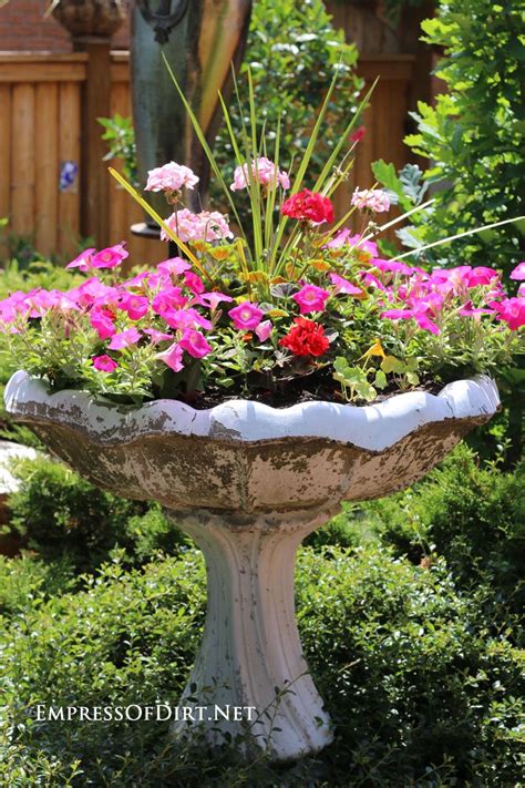 Pin on Gardening