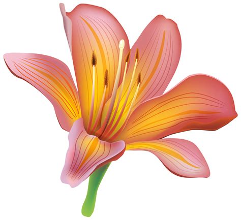 Day Lily Flower Clipart 20 Free Cliparts Download Images On