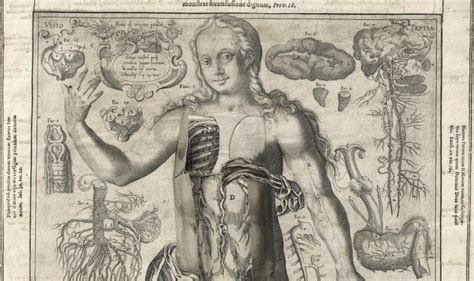The Getty Presents Anatomy And Art From The Renaissance To Today Fine