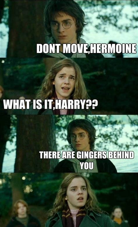 Meme Harry Potter Hermione Meme Horny Potter Meme Hermonie