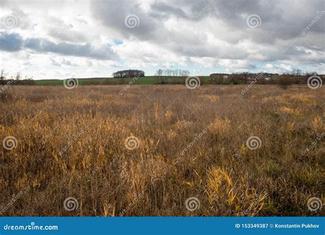 Dry Grass In The Autumn Field Stock Image Image Of Hill Farming
