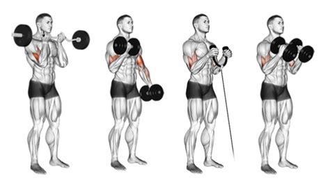 En İyi Biceps Hareketleri Ile Hulka Dönüşün Fitness Dergisi