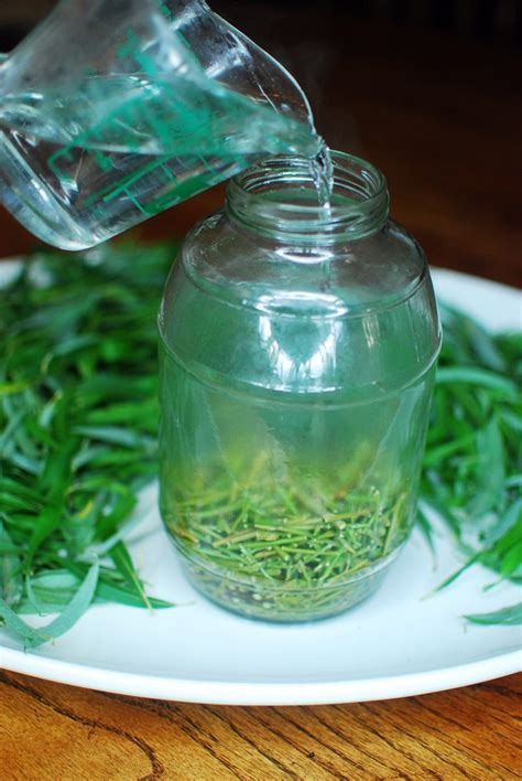 How to grow jasmine from cuttings jasmine propagation 100 success. Willow Water Rooting Hormone 09_Add boiling water to ...