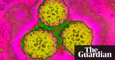 Call To Extend Hpv Vaccine To Boys As Cancer Rates Soar Society The