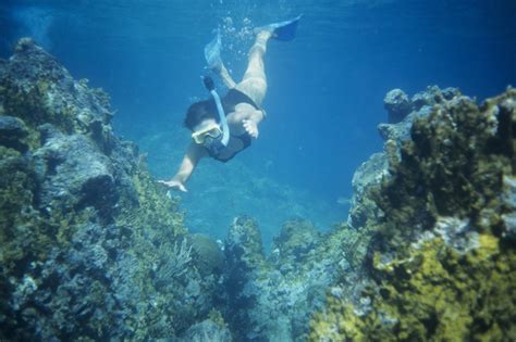 The Best Snorkeling In Oahu Your North Shore Guide