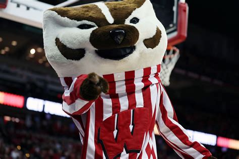 Which College Football Mascots Could You Beat In A Fight O T Lounge