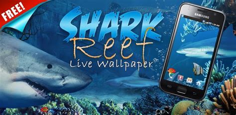Como Activar Sharks 3d Live Wallpaper And Screensaver Portpearl