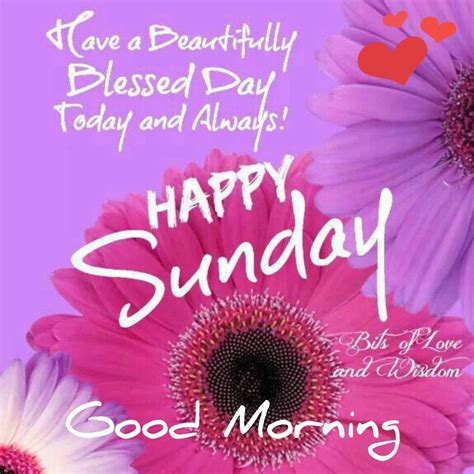 Happy Sunday Pictures With Quotes Shortquotescc