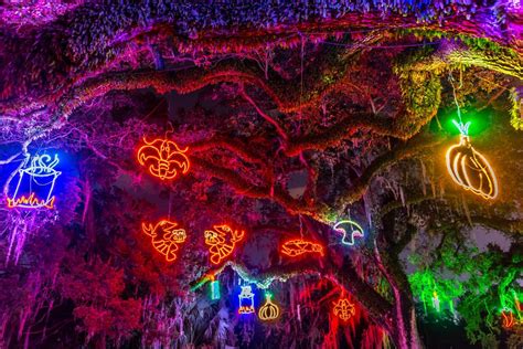 Celebration In The Oaks Spectacular Light Display Closes Next Sunday