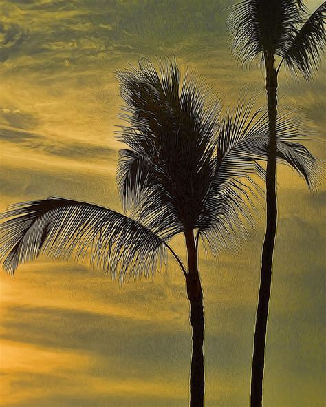 Palm Trees Swaying Photograph By Pamela Walton Pixels