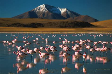 12 Maravillas Naturales De Chile Maravillas Naturales Fotos De Chile