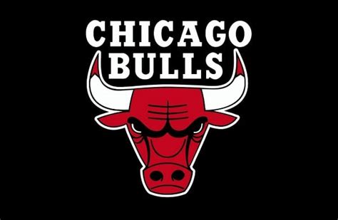 Download 1,548 bull logo free vectors. Chicago Bulls 2018 NBA Draft profile