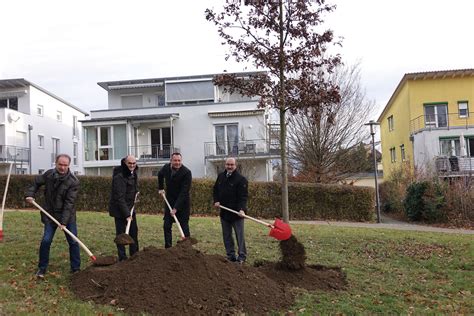 Darüber hinaus bietet es viele weitere nützliche funktionen. Neue Eiche von VR-Bank Ostalb auf Schillerhöhe - Stadt Aalen