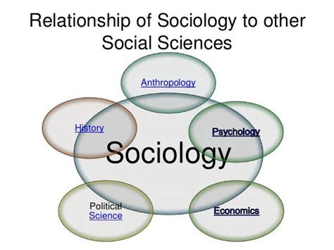 Scope Of The Sociology And Comparison With Other Social Sciences