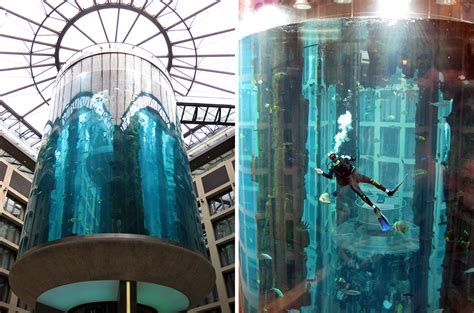 11 of the World's Wildest Aquariums | HorizonTimes