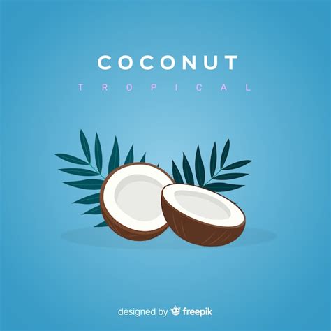Premium Vector Flat Coconut Illustration