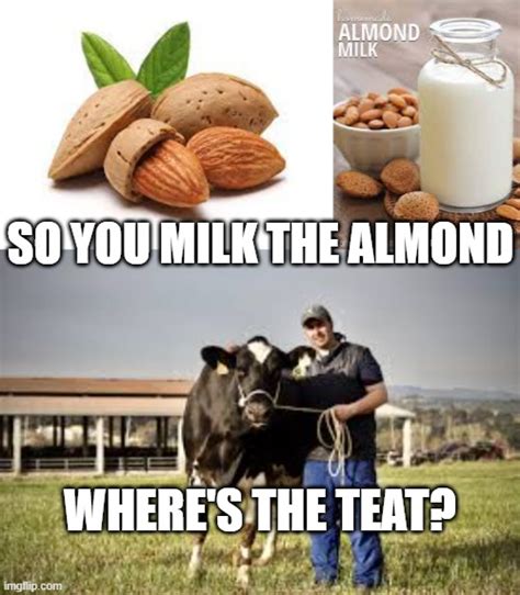 Almond Milk Imgflip