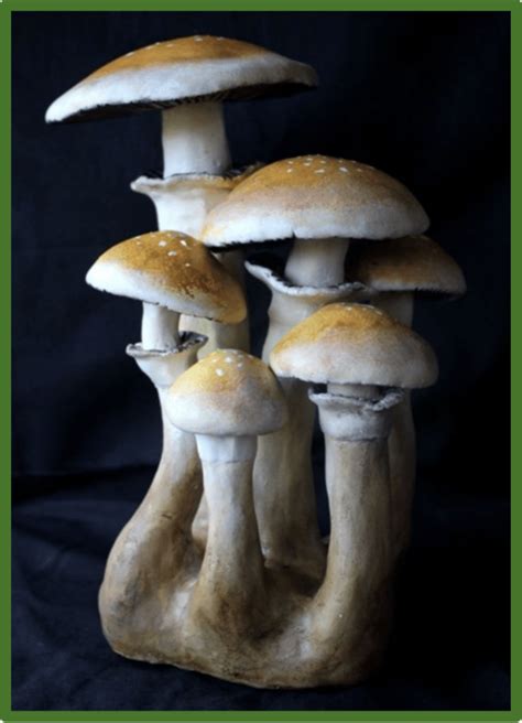 The Best Mushroom Strain For Psilocybin Assisted Therapy Psychedelic