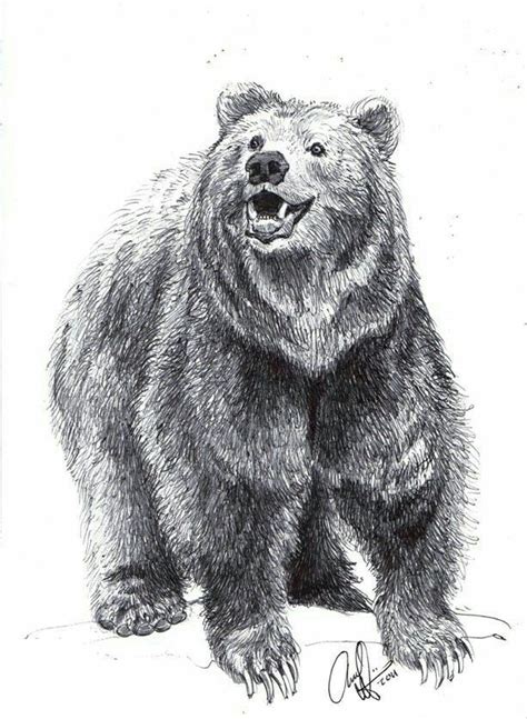 We did not find results for: Pin by TRowcliff on About a Bear | Bear drawing, Bear sketch, Grizzly bear drawing