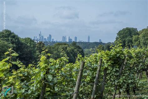 Der etwa 185 meter hohe lohrberg oder kurz lohr gilt als hausberg von frankfurt am main und ist gleichzeitig der einzig verbliebene weinberg innerhalb des stadtgebietes. Lohrberg (Frankfurt) - Pure Vision