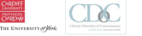 Cdoc Banner71 Coma And Disorders Of Consciousness Research Centre