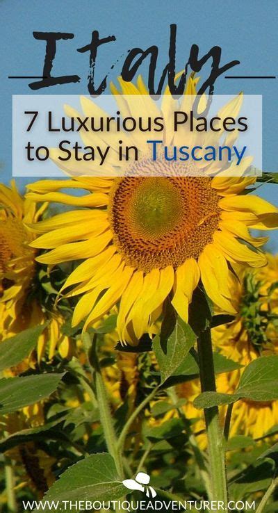 7 Charming Tuscany Boutique Hotels You Won T Want To Leave Europe