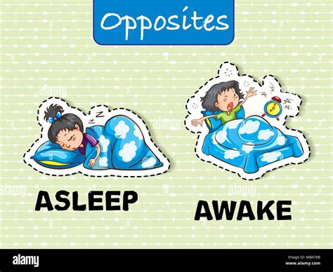 Opposite Words For Asleep And Awake Illustration Stock Vector Image