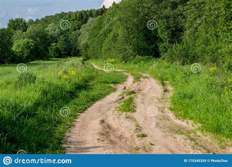 A Winding Rural Dirt Road Stretching Into The Distance Among A