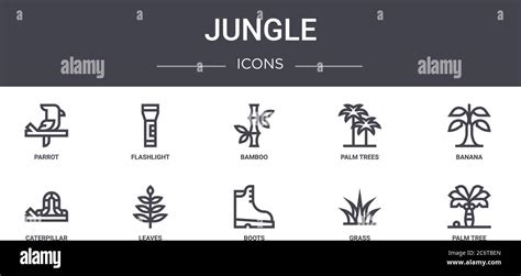 Conjunto De Iconos De Línea Concepto De Selva Contiene Iconos Que Se