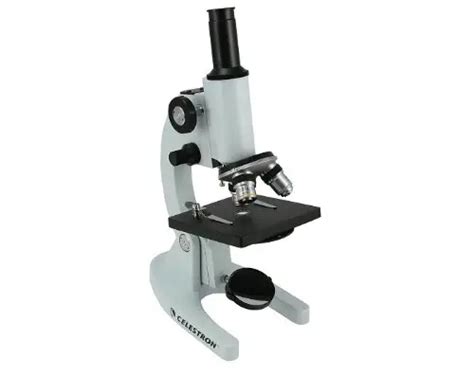 5 Best Hobby Microscope Reviews 2022 Beginner Friendly