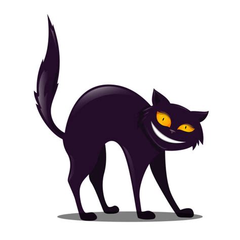 Bad Kitty Illustrations Royalty Free Vector Graphics And Clip Art Istock