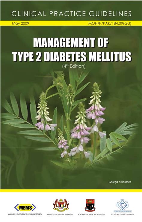 Yes no was this document useful for you? management of diabetes mellitus type 2