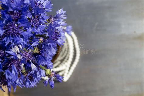 Cornflowers Close Up Blue Flowers On A Gray Wooden Background Blue