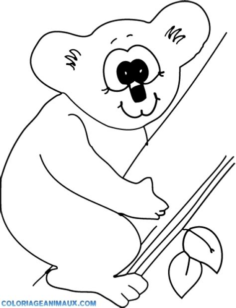 🎨coloriage Koala Sur Un Arbre à Imprimer