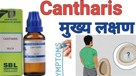 Cantharis 30200ch Q Mother Tincture Homeopathy Medicine Uses In
