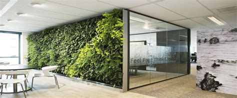 How To Incorporate Biophilic Design In Your Office Optrys