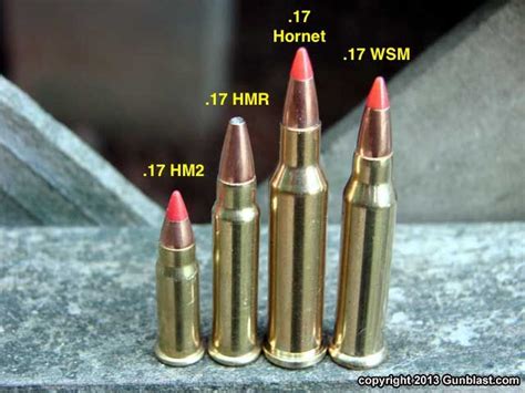 Pin On Ammo And Cartidges
