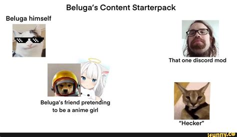 Belugas Content Starterpack Beluga Himself That One Discord Mod Beluga