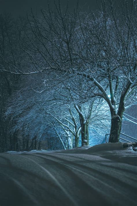 Took my camera out in a snow storm. Even a boring town can be beautiful