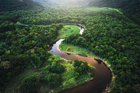 12 Most Beautiful Forests Around The World