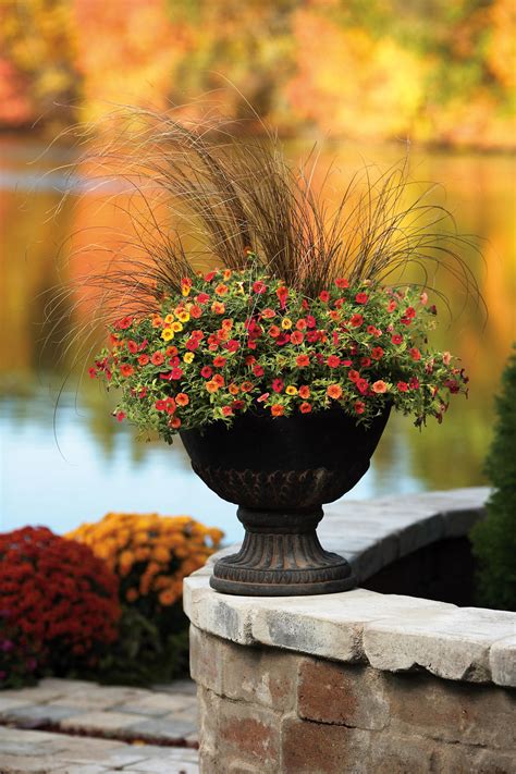 Take advantage and stock up on your favorite seeds. Container Gardening in Fall | Proven Winners