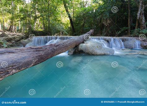 Natural Deep Forest Blue Stream Waterfalls Stock Image Image Of Fresh