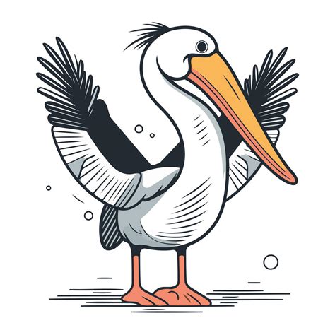Pelican Vector Illustration Cartoon Pelican Isolated On White