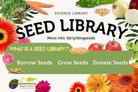 Our Seed Library Is Now Open Library News