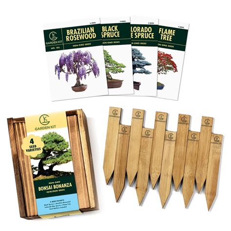 Bonsai Tree Seeds Kit Garden Kit