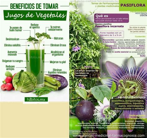 Lee toda la información sobre plantas para curar y revertir la diabetes. PLANTAS Y REMEDIOS CASEROS MEDICINALES NATURALES PARA ...